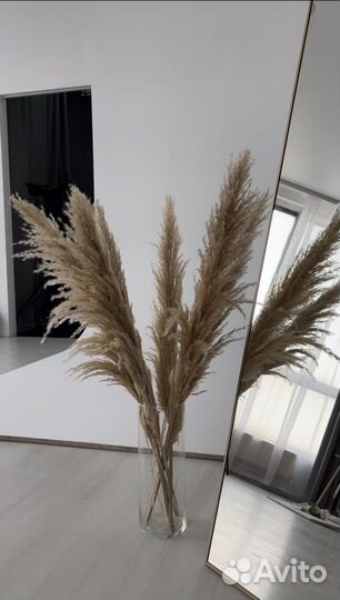 Аренда фотостудии с циклорамой