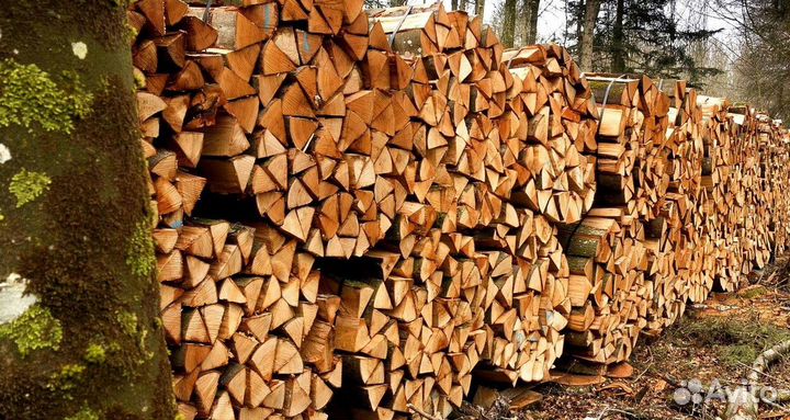 Дрова Осиновые