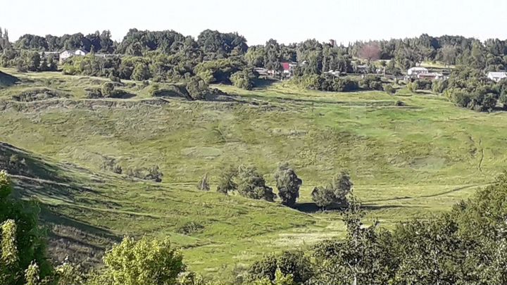 Участок 15 сот. (ИЖС)