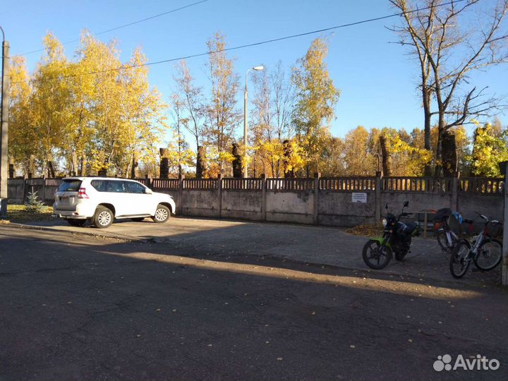 Спилим деревья любой сложности. Работы на высоте