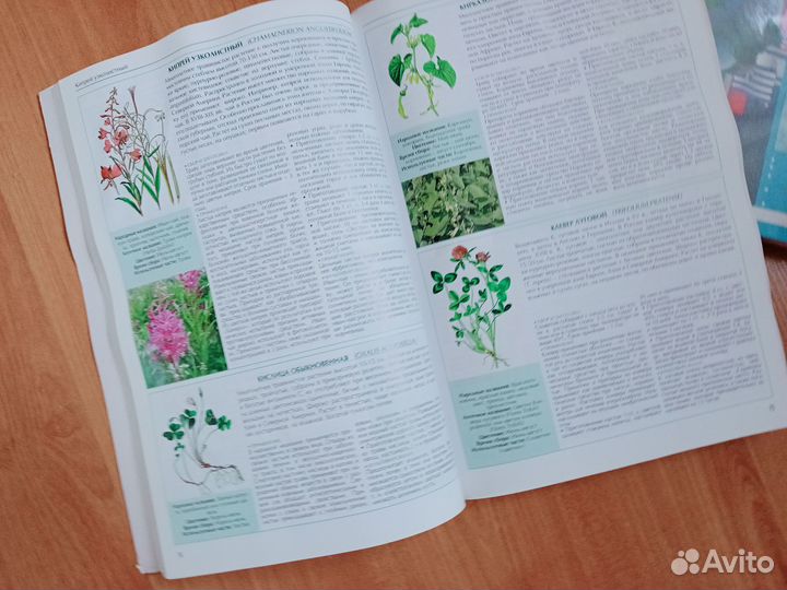 Книги. Журналы