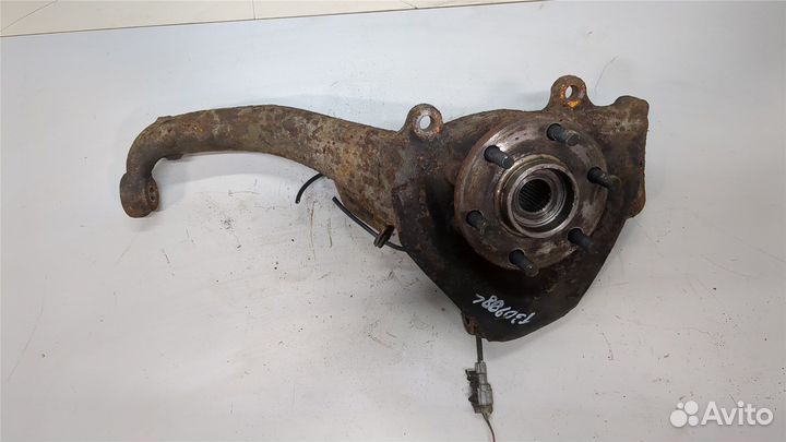 Ступица (кулак, цапфа) Nissan Navara, 2007