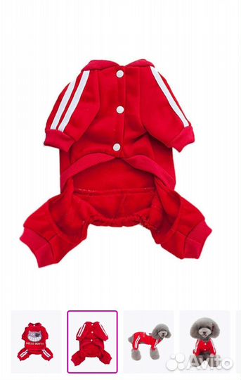 Одежда для маленьких собак