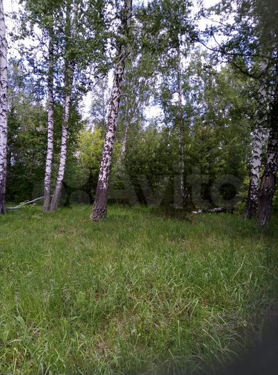 Участок 15 сот. (ИЖС)