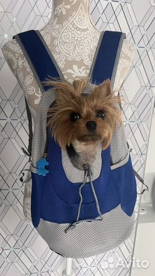 Переноска Рюкзак для животных