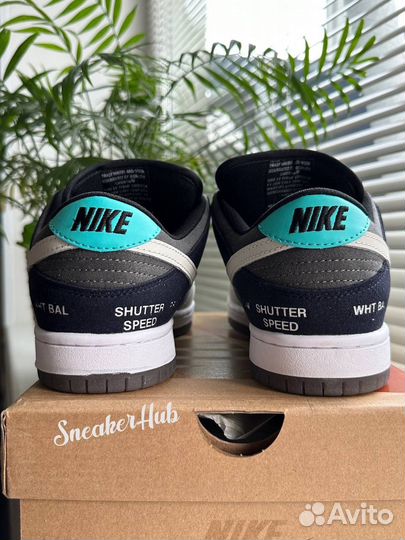 Nike sb dunk low camcorder