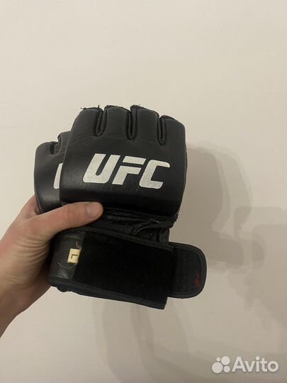 UFC мма
