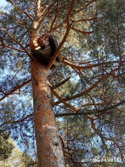 Альпинист, высотник