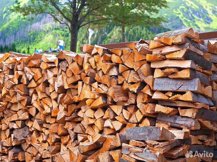 Дрова березовые