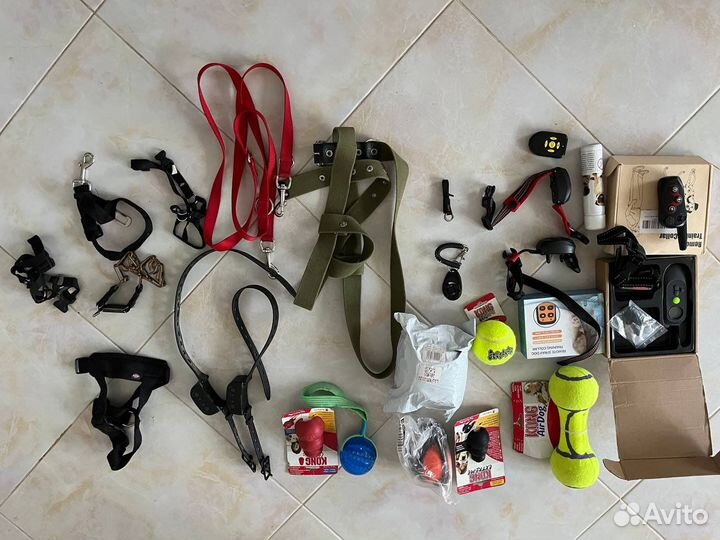 Kong конги + Инвентарь дрессировки игрушк эшо