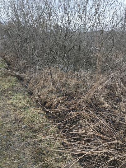 Участок 6 сот. (ИЖС)