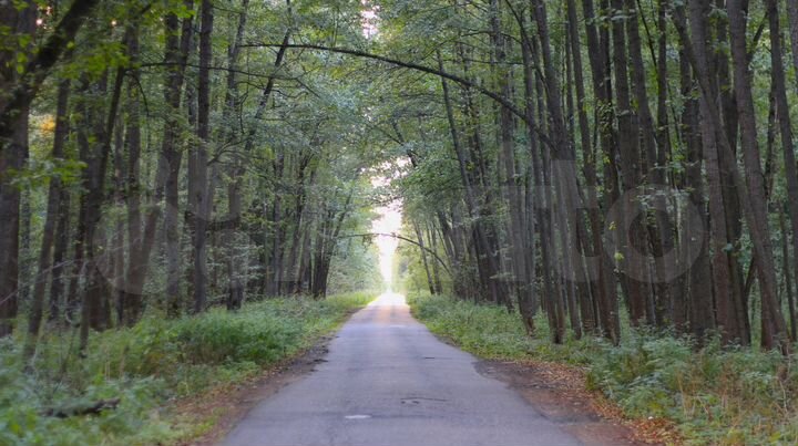 Участок 12 сот. (ИЖС)