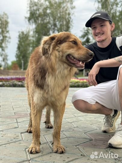 Обучение созданию музыки