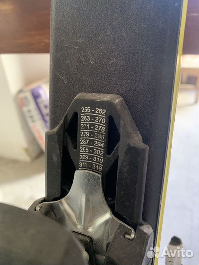 Горные лыжи