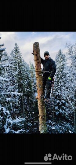 Спилить дерево, спил деревьев, срубить, расчистка