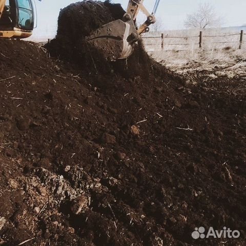 Коровий Перегной. Навоз коровий