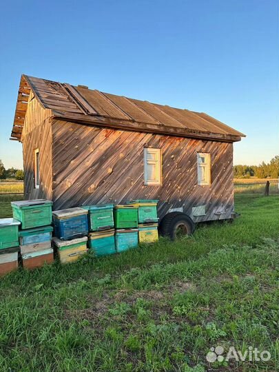Дом для ульев и пчел