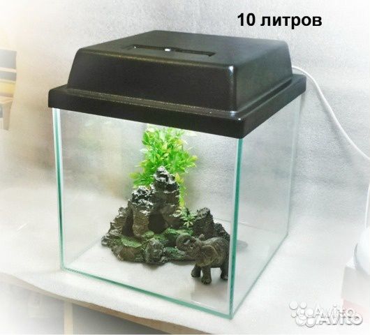 Аквариум куб