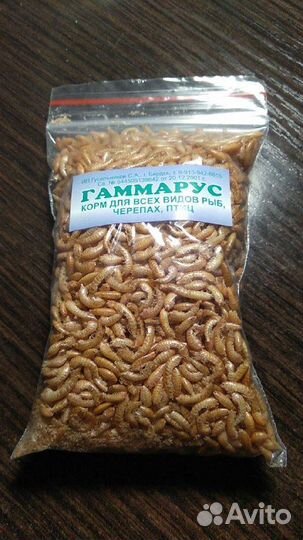 Гаммарус - корм для рыб и черепах