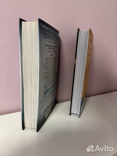 Безмолвный пациент, Девы Алекс Михаэледес