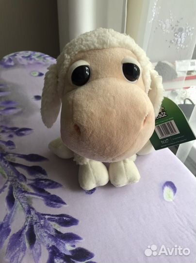 Овечка новая