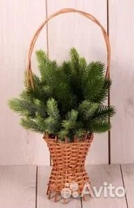 Новогодний букет из елок