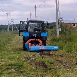 Николай Вячеславович Толкачев