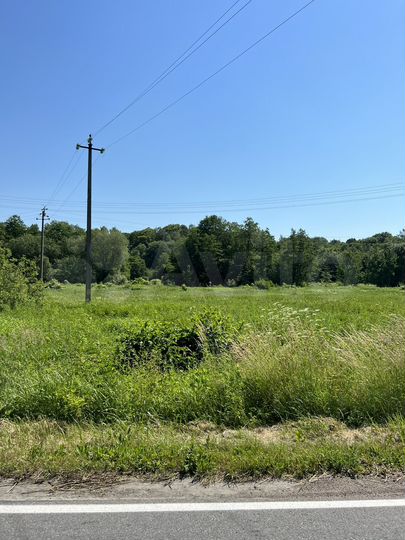 Участок 50 сот. (ИЖС)