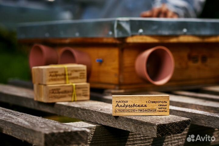 Плодные матки