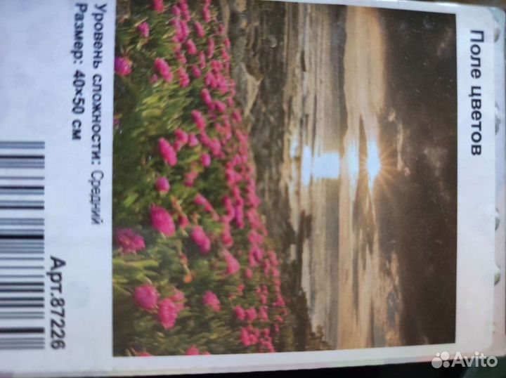 Мазайка алмазная 40*50 частичная выкладка