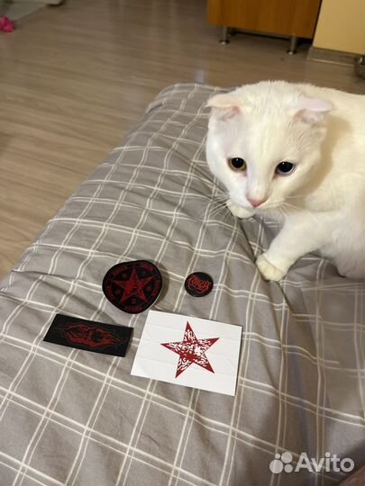 Torch патч значок наклейка