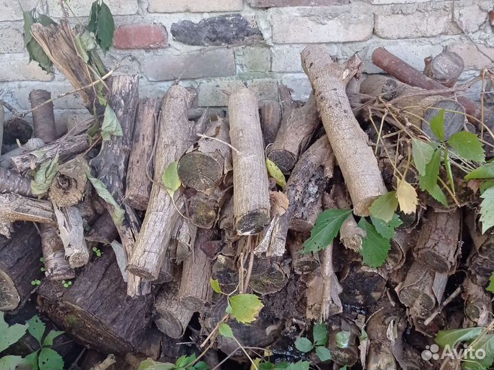 Дрова