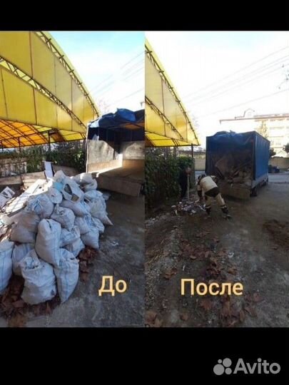 Вывоз мусора (строительных и бытовых), грузчики