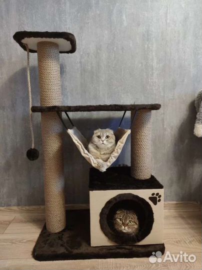 Когтеточка с домиком / дом для кошки