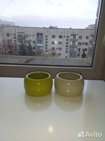 Миска для животного