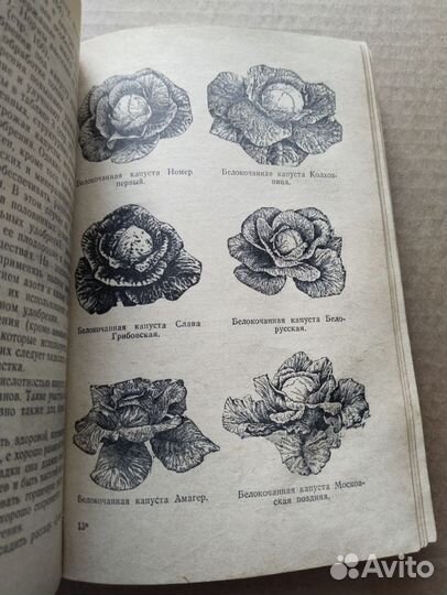 Сад и огород на приусадебном участке, 1959 СССР