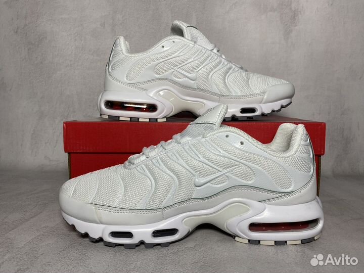 Кроссовки Nike Air Max Tn Plus