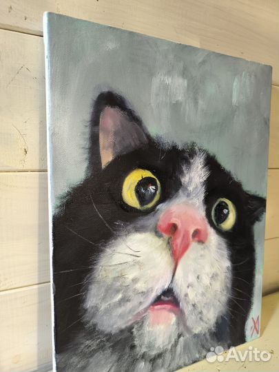 Картина маслом на холсте Котэ 30х40