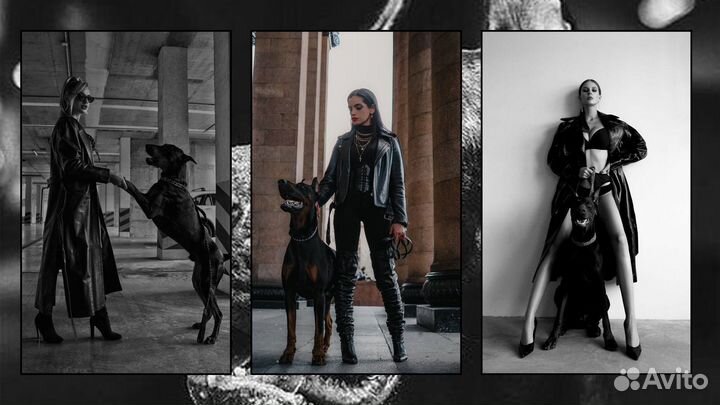 Фотосессия с доберманом