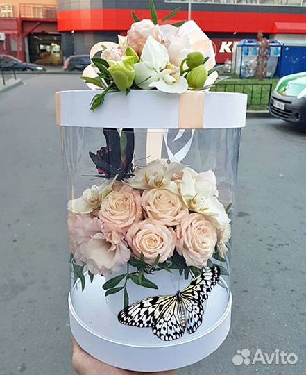 Композиции с живыми бабочками