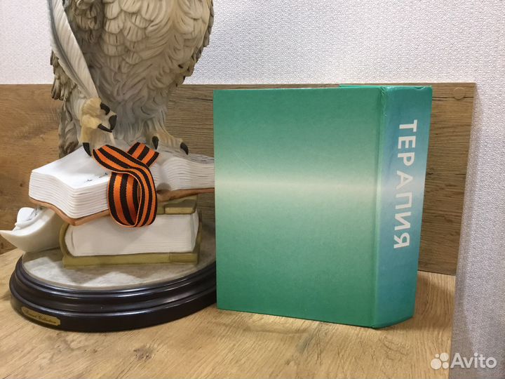 Терапия Чучалин Гэотар Медицина