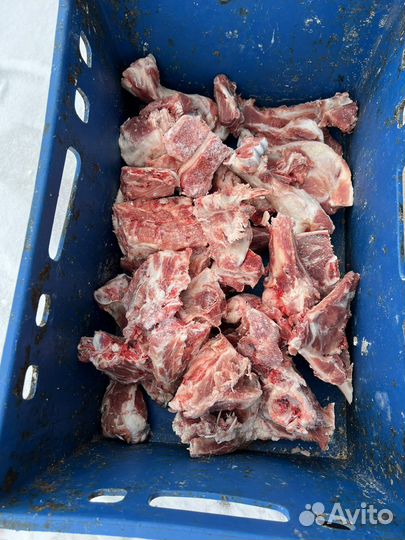 Мясо свинина кости