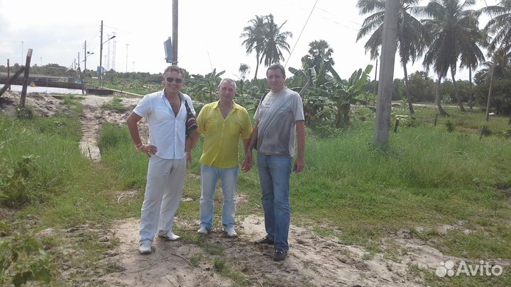 Адвокат Ладов