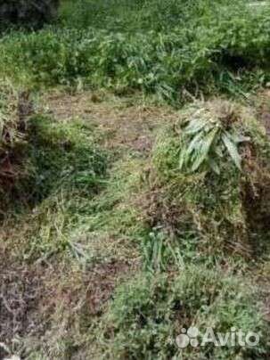 Клининг Уборка/Дамов Квартир Помещения Химчистка