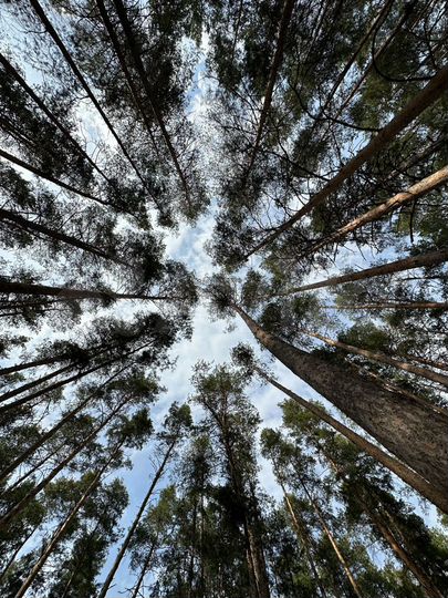 Участок 1,91 га (ИЖС)