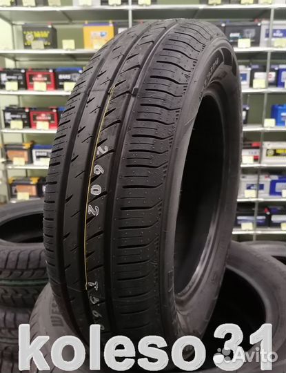 Roadstone Eurovis Sport 04 175/65 R14 82T