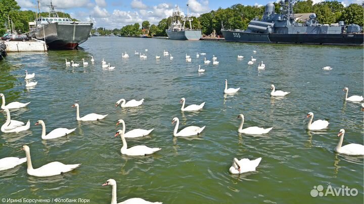 Автобусная экскурсия в Балтийск