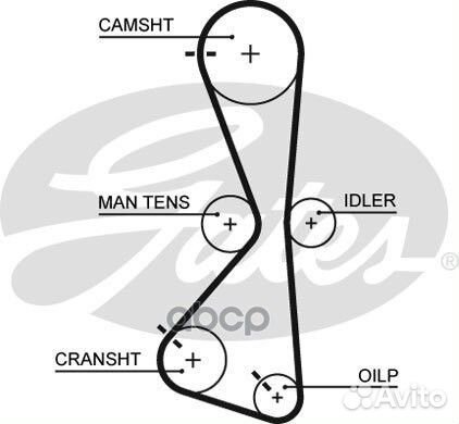 122x20 Ремень грм 5609XS Gates