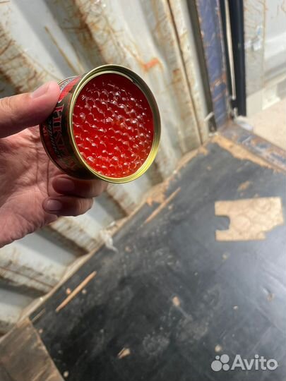 Красная икра 2023