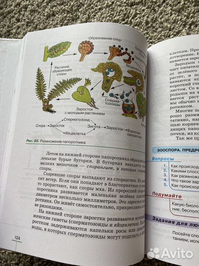 Учебник по биолгии 6 класс Пасечник